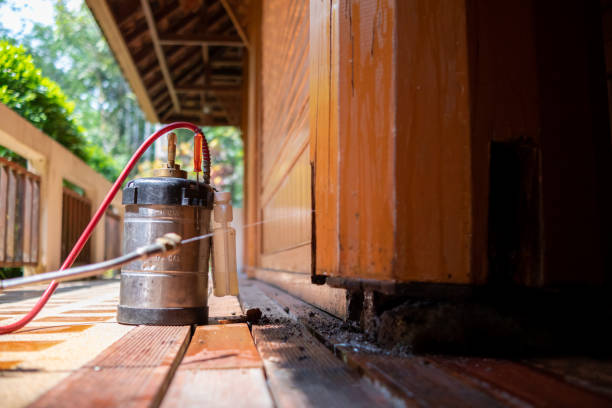 Best Exterminator Services  in Lake Alfred, FL